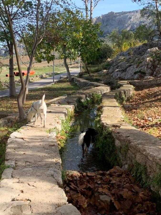 Villa Remedios Cuevas del Becerro Exteriör bild