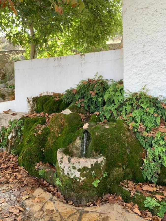 Villa Remedios Cuevas del Becerro Exteriör bild